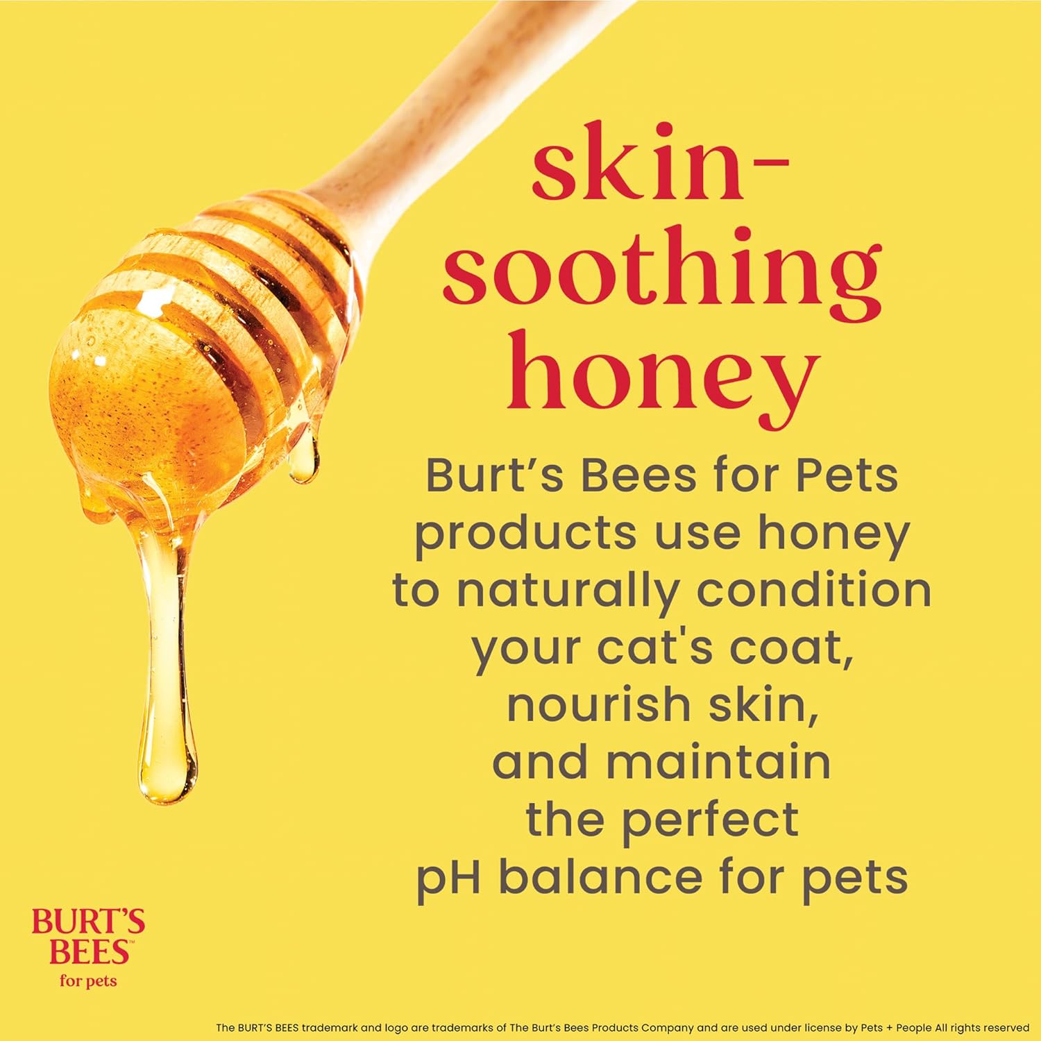 Burt'S Bees for Pets Dander Reducing Cat Spray with Colloidal Oat Flour and Honey - Cat Dander Remover Gives Dry Skin Relief for Cats, Essential Kitten Supplies for Allergy Relief, 10 Fl Oz