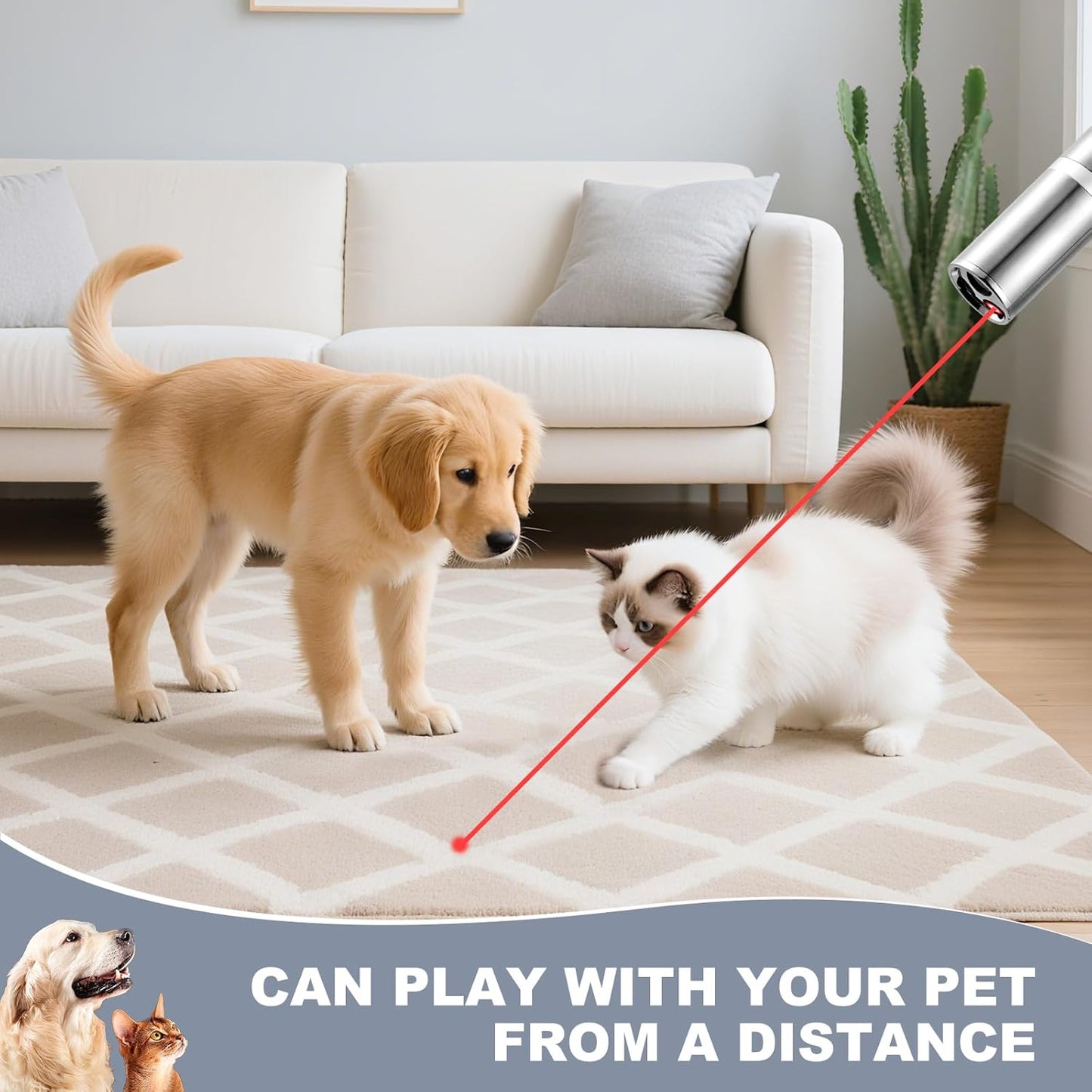 Laser Pointer Cat Toy with 3 Light Modes and 5 Fun Patterns 