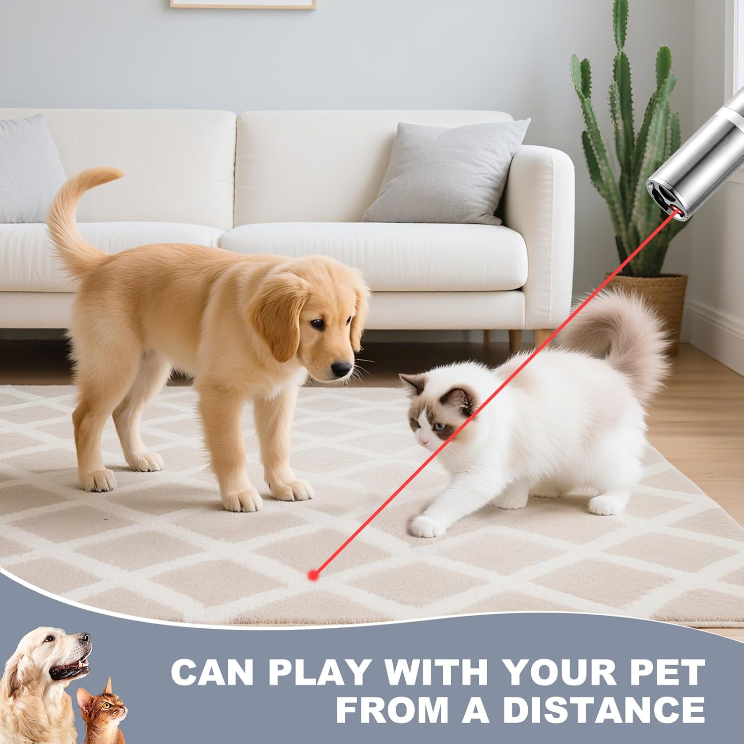 Laser Pointer Cat Toy with 3 Light Modes and 5 Fun Patterns 