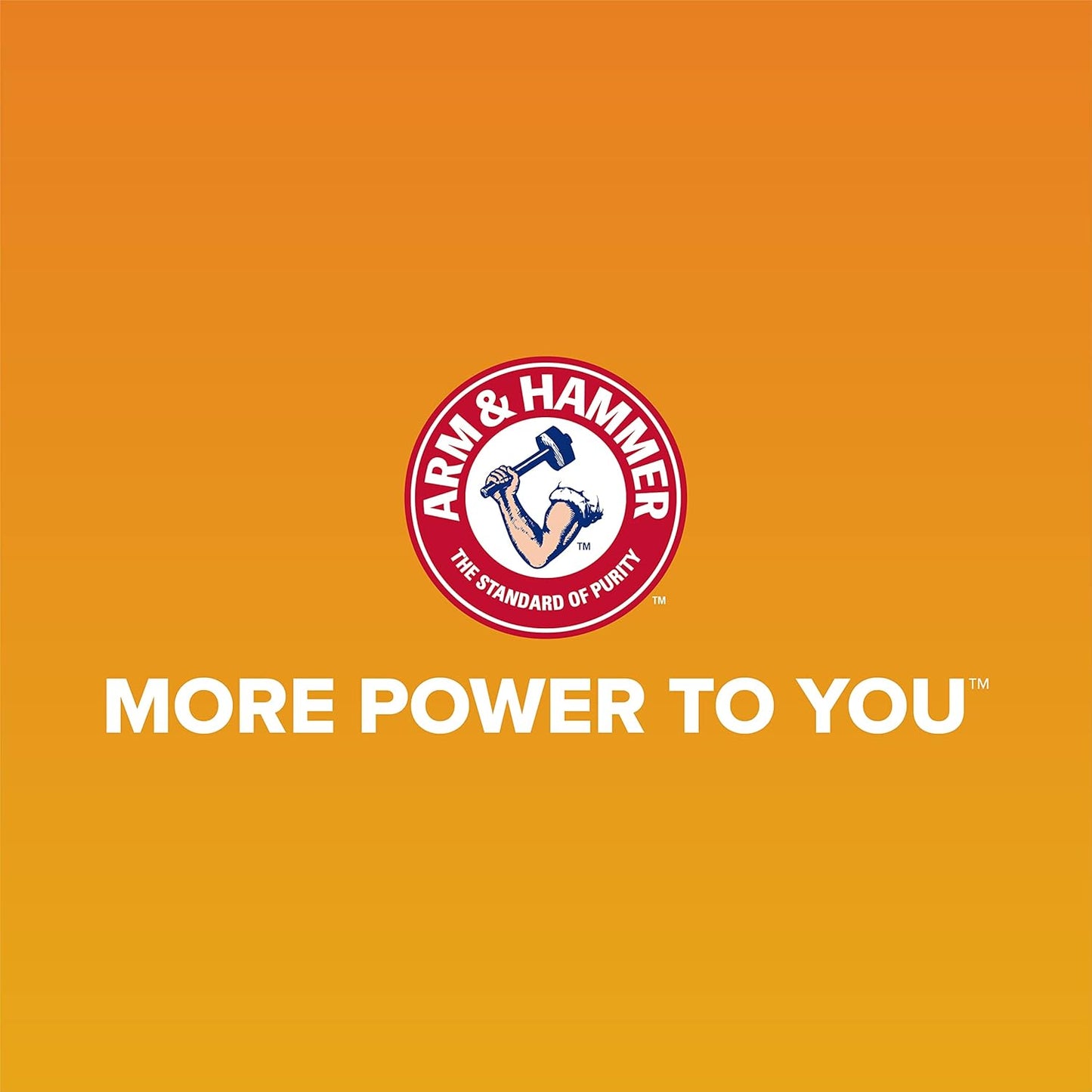 Arm & Hammer Rimmed Cat Litter Box - High-Sided Design with Odor Protection, Perfect for Indoor Cats