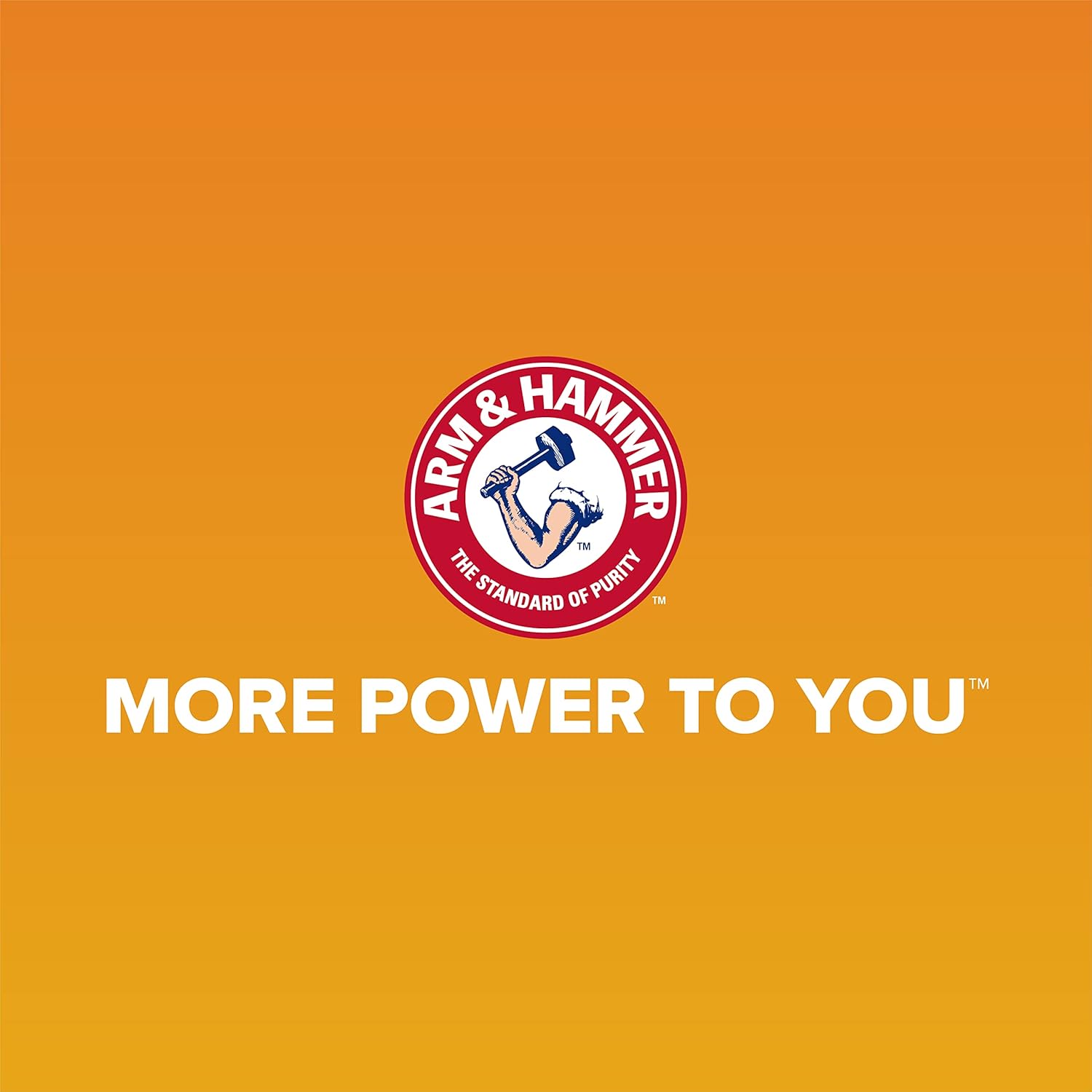 Arm & Hammer Rimmed Cat Litter Box - High-Sided Design with Odor Protection, Perfect for Indoor Cats