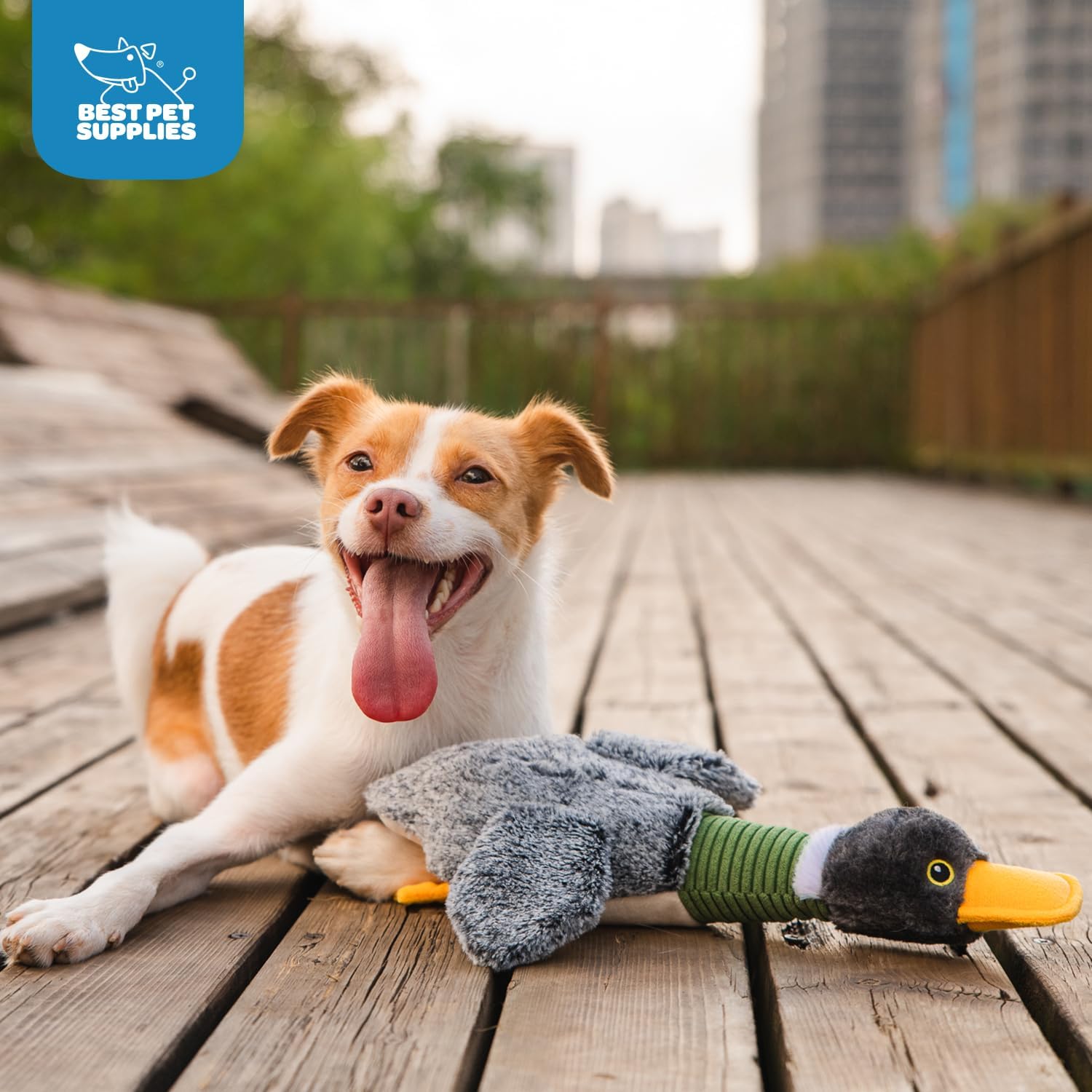 Interactive Squeaky Dog Chew Toy