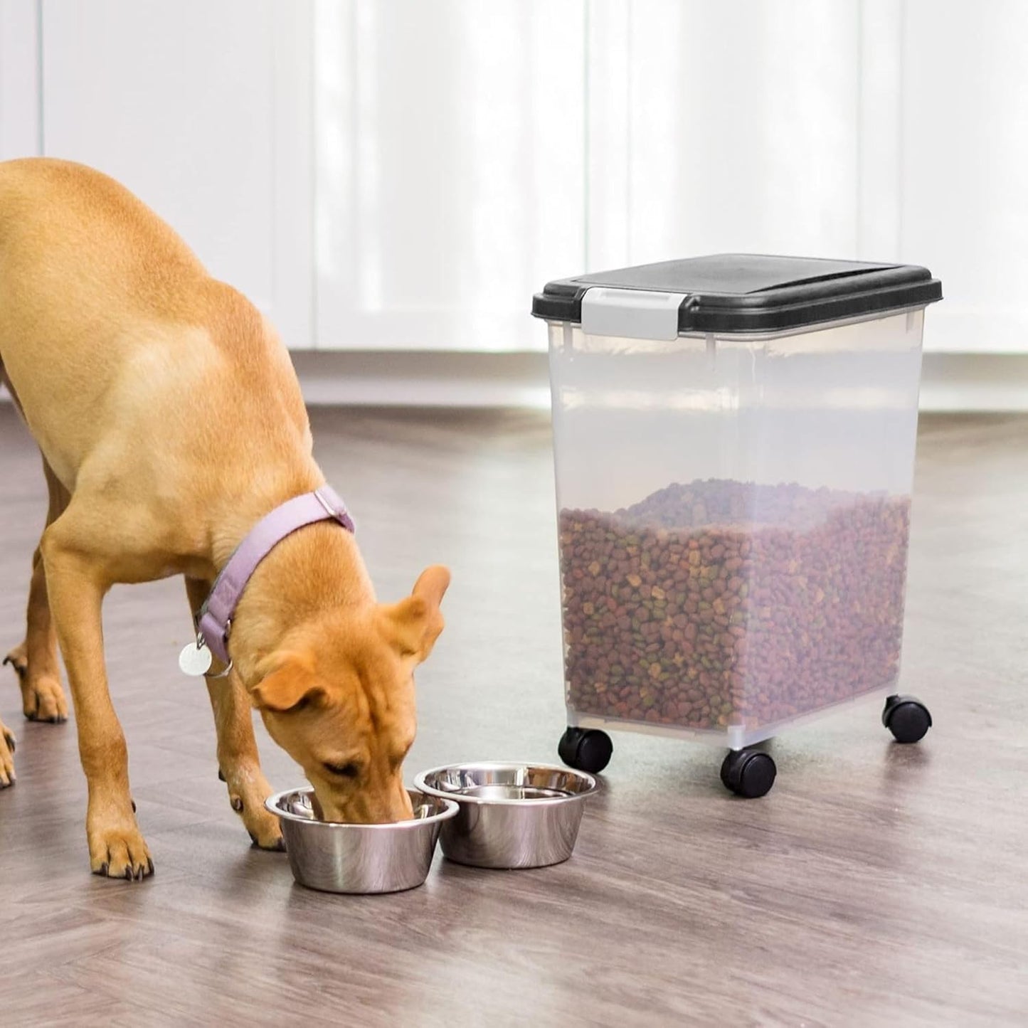 Airtight Pet Food Storage Container with Wheels, Holds up to 30 lbs, BPA Free, Ideal for Dog, Cat, and Bird Food, Black