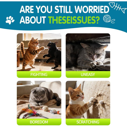 Premium Catnip Spray for Cats – 100% Natural Ingredients, Boosts Energy,Relieves Stress – Renews Toys, Reduces Scratching, Easy-To-Use & Mess-Free 2.71 Fl OZ (Blue-Green, M)