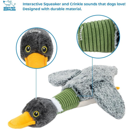 Interactive Squeaky Dog Chew Toy