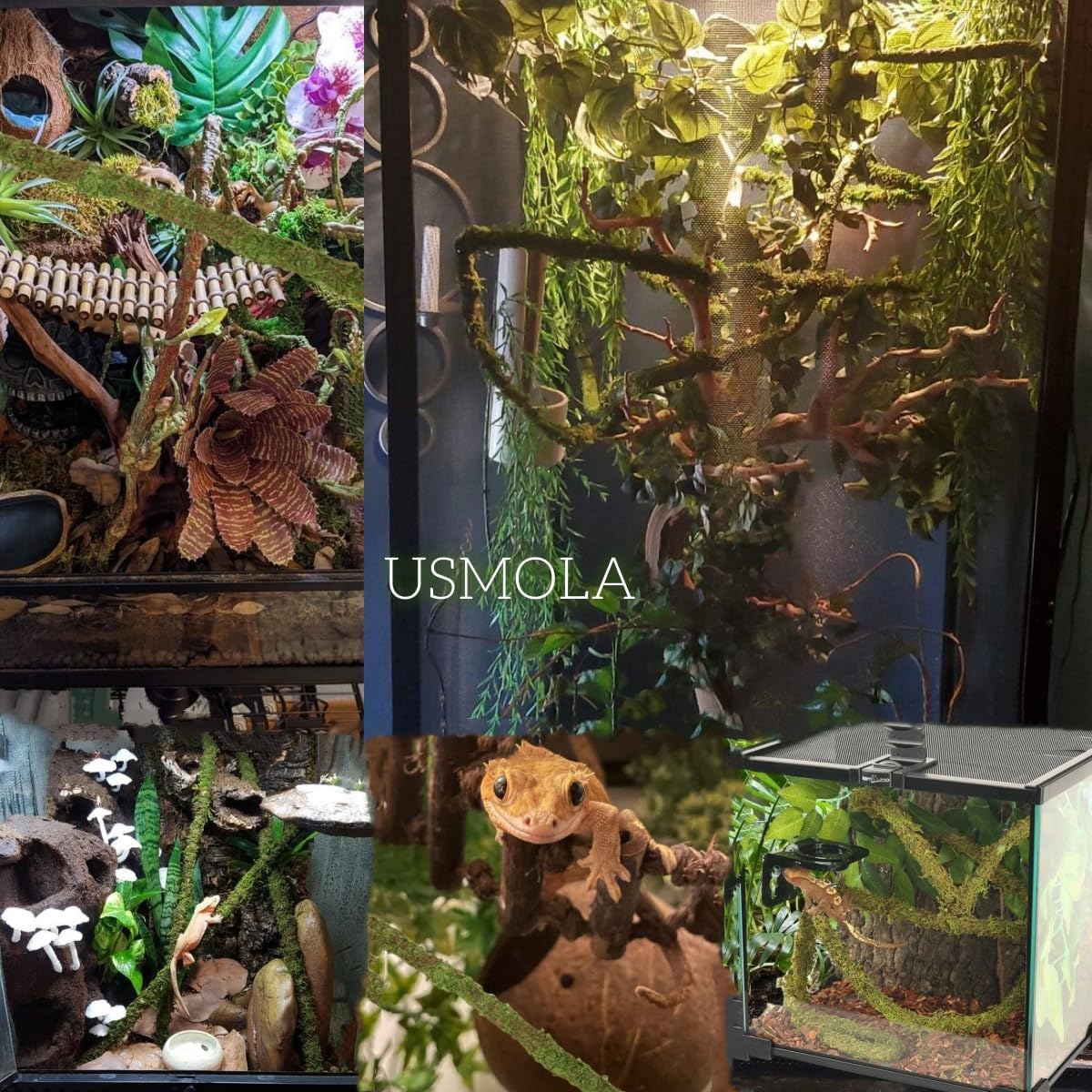 Bendable Moss Vines for Reptiles - 6.5 FT Natural Climbing Rope for Leopard Geckos, Lizards, Snakes, Chameleons, and Frogs