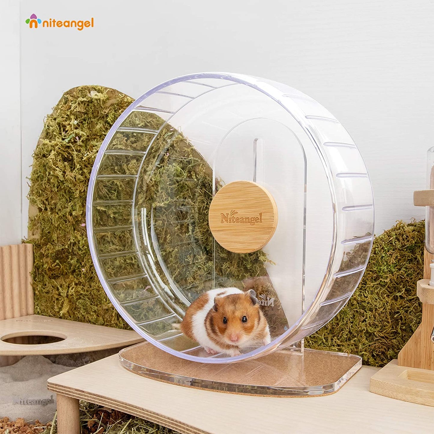 Silent Spinner Hamster Wheel – Adjustable Stand, Transparent (Medium) for Hamsters, Gerbils & Mice