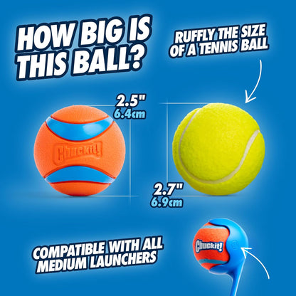  Bouncy Fetch Balls for Dogs 20-60 lbs - Durable Rubber Construction - Floating Water Toy - Pack of 2