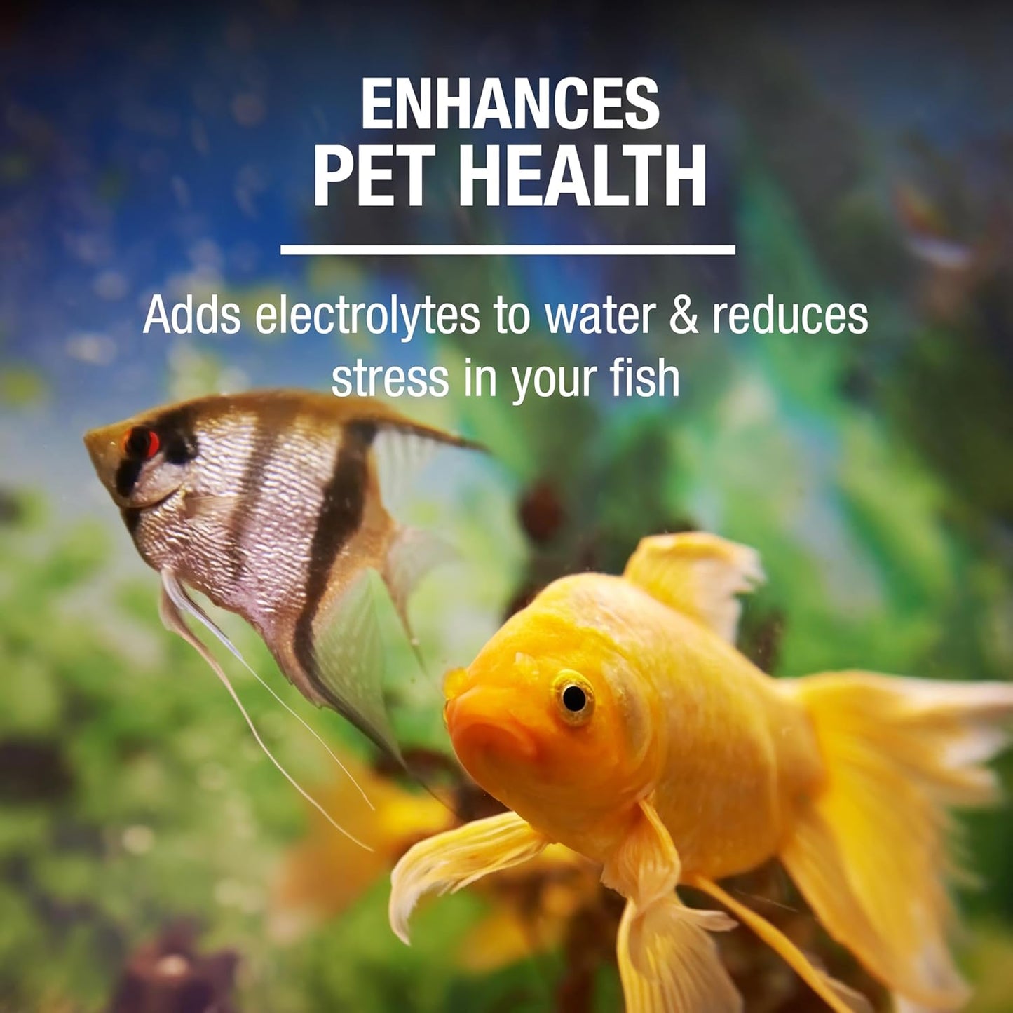 Aquarium Salt for Freshwater Fish Tanks - 16 Ounces, Enhances Health for Tropical and Goldfish Aquariums