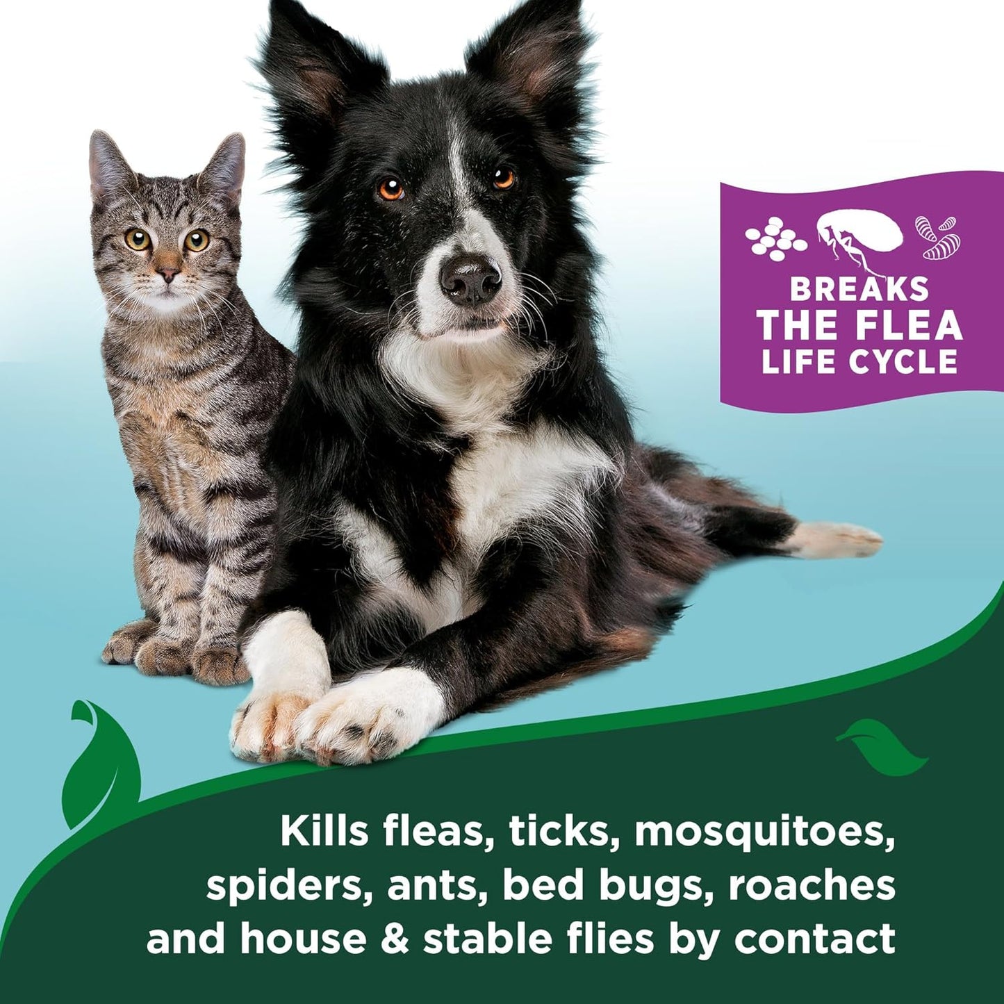 Natural Flea & Tick Easy Spray for Cats – Natural Flea & Tick Prevention with Cotton Spice Scent – Plant-Based Cat Spray with Essential Oils – Gentle Pest Control Formula – 14 Oz Bottle