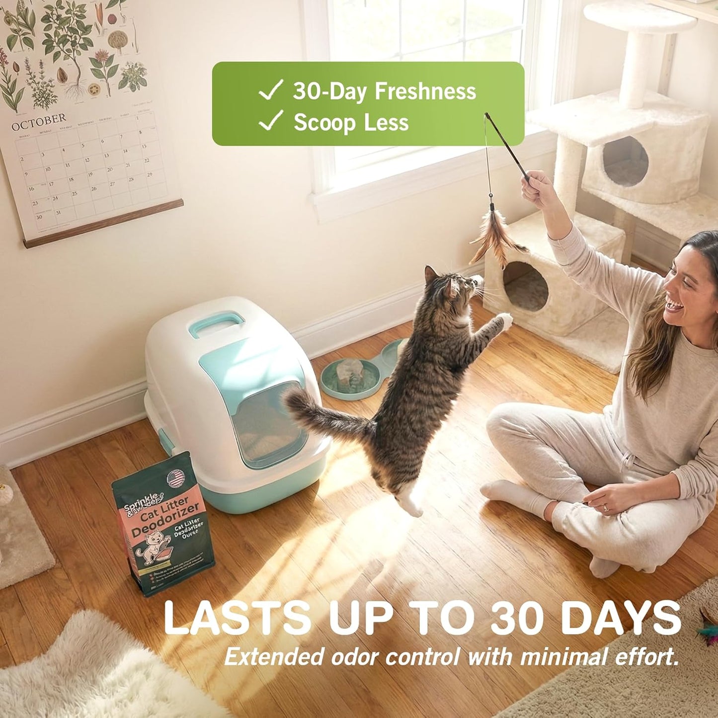 Premium Cat Litter Deodorizer | Non-Toxic and Safe for Kittens | Odor Control and Home Freshening | Convenient Sprinkle and Sweep Application | Made in the USA
