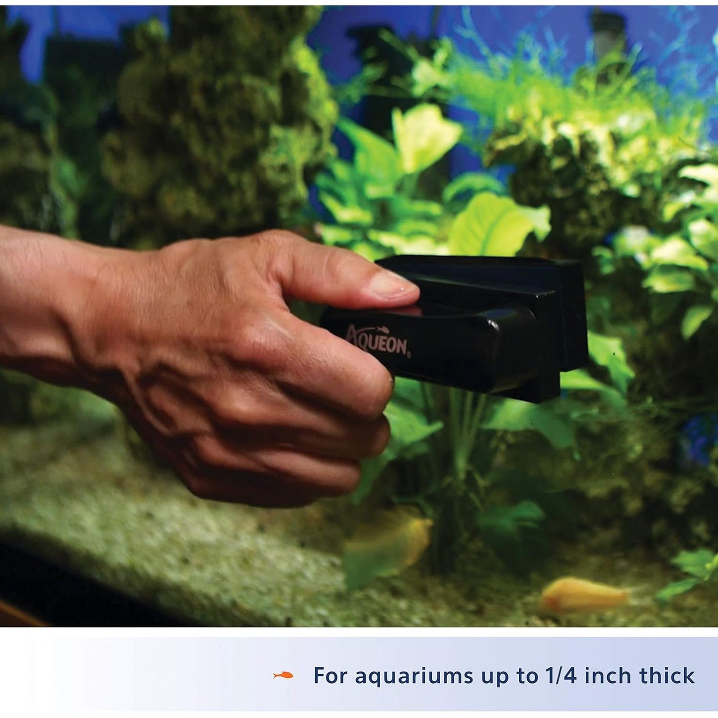 Aquarium Algae Scraper - Magnetic Cleaning Tool for Glass and Acrylic Fish Tanks, Small, Black