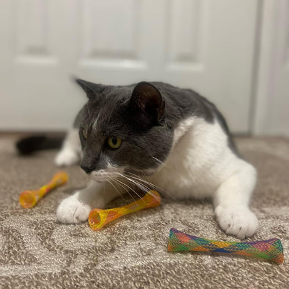Kitty Fun Tubes Interactive Cat Toy Set | Bouncy Catnip-Infused Toys for Cats and Kittens | Pack of 3