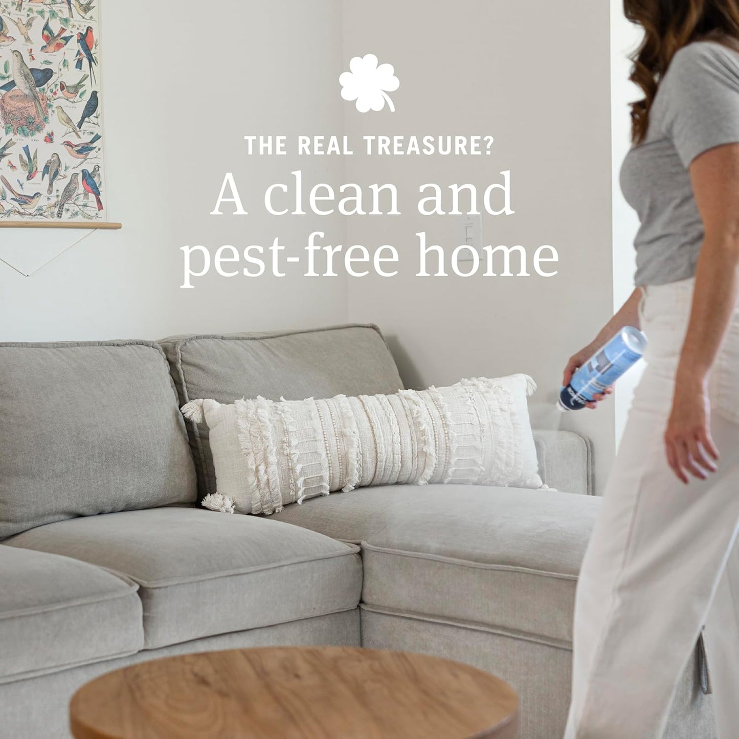 Home and Carpet Flea and Tick Spray, 16 Ounce - Home Protection and Pet Odor Elimination