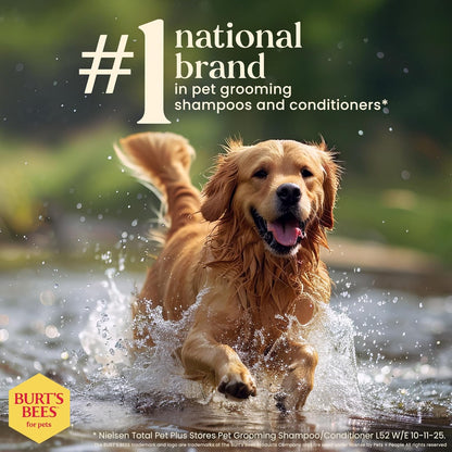 Natural Dog Detangling and Deodorizing Spray, pH Balanced, Paraben and Sulfate Free, 10 Fl Oz