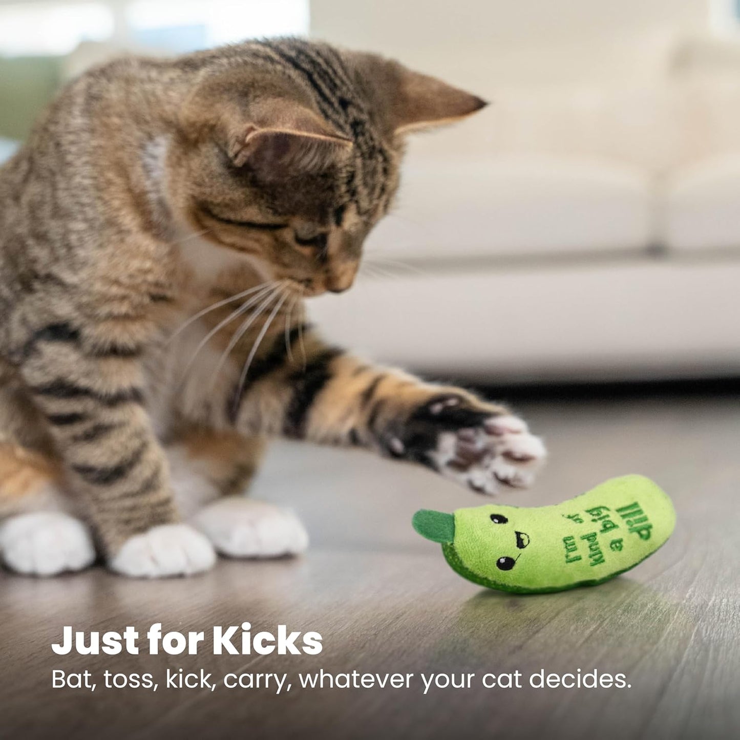 Catstages Crunchy Pickle Kicker Cat Toy - Plush Crinkle Toy with Catnip and Dental Mesh for Feline Health and Happiness, 6.5 inches