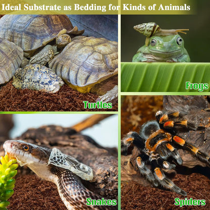  2-Pack Organic Coconut Fiber Substrate for Terrarium Bedding - Ideal for Reptiles, Tortoises, Bearded Dragons, Leopard Geckos, Snakes, Hermit Crabs, Frogs, and Tarantulas