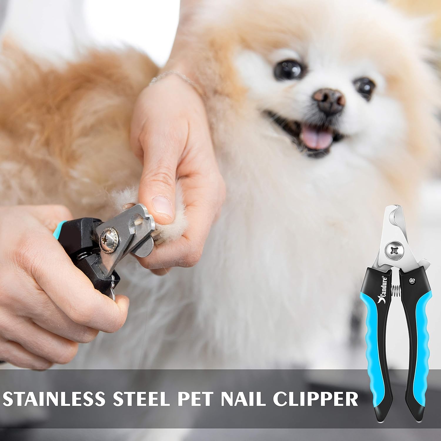 Professional Dog Nail Clippers with Safety Guard and Nail File for Small to Large Breeds