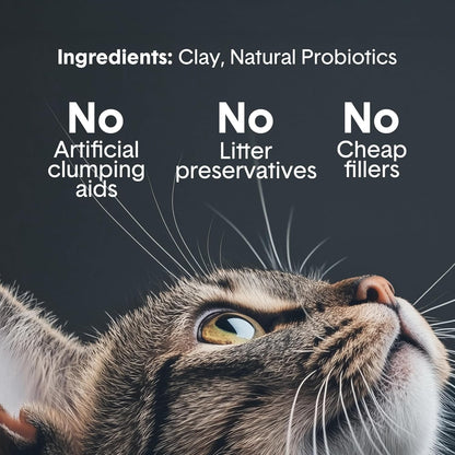 Boxie Probiotic Cat Litter - 40 Days of Odor Control, Clumping Clay, Dust-Free & Fragrance-Free for a Cleaner Home