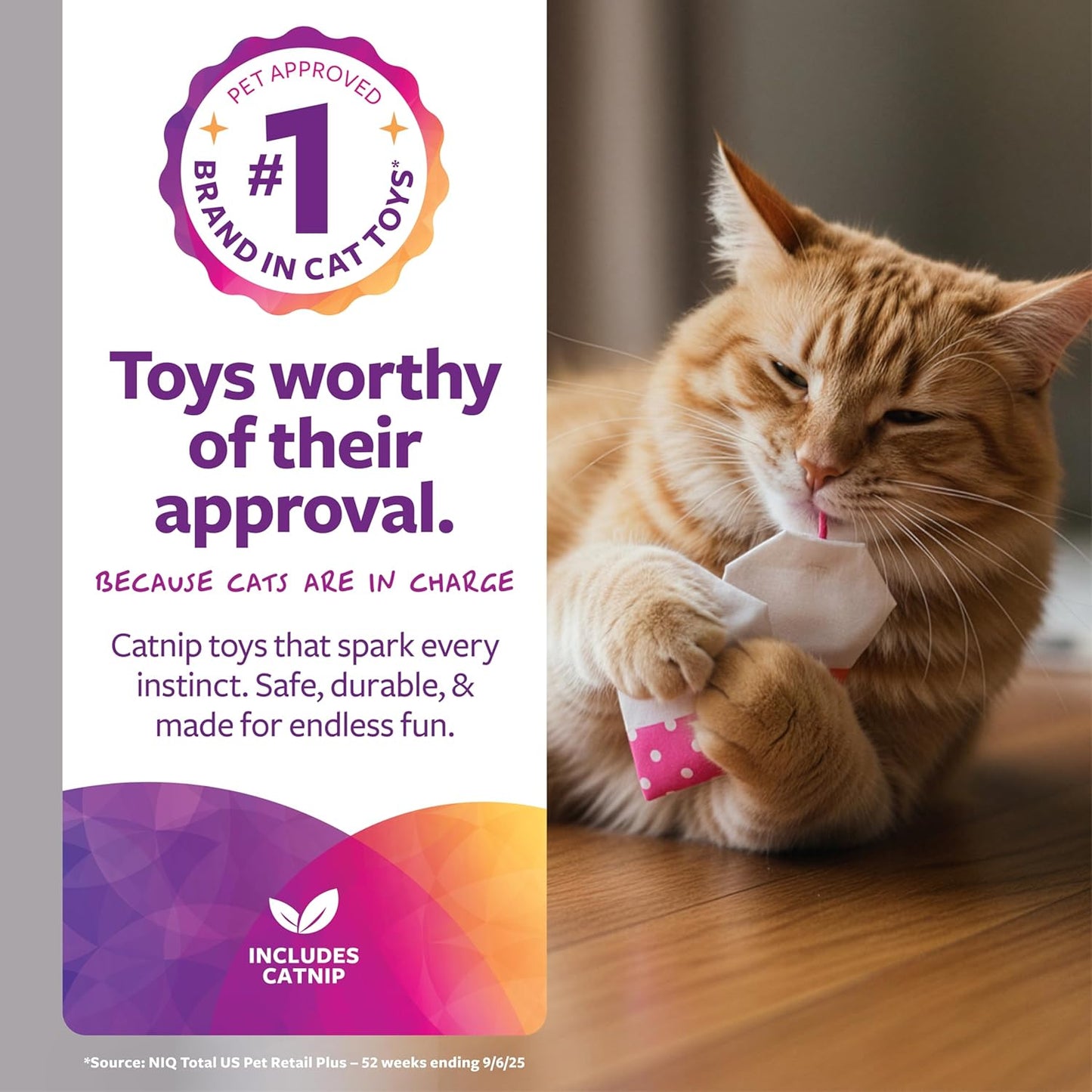 Teazers Catnip Cat Toys - Set of 2 in Pink and Orange
