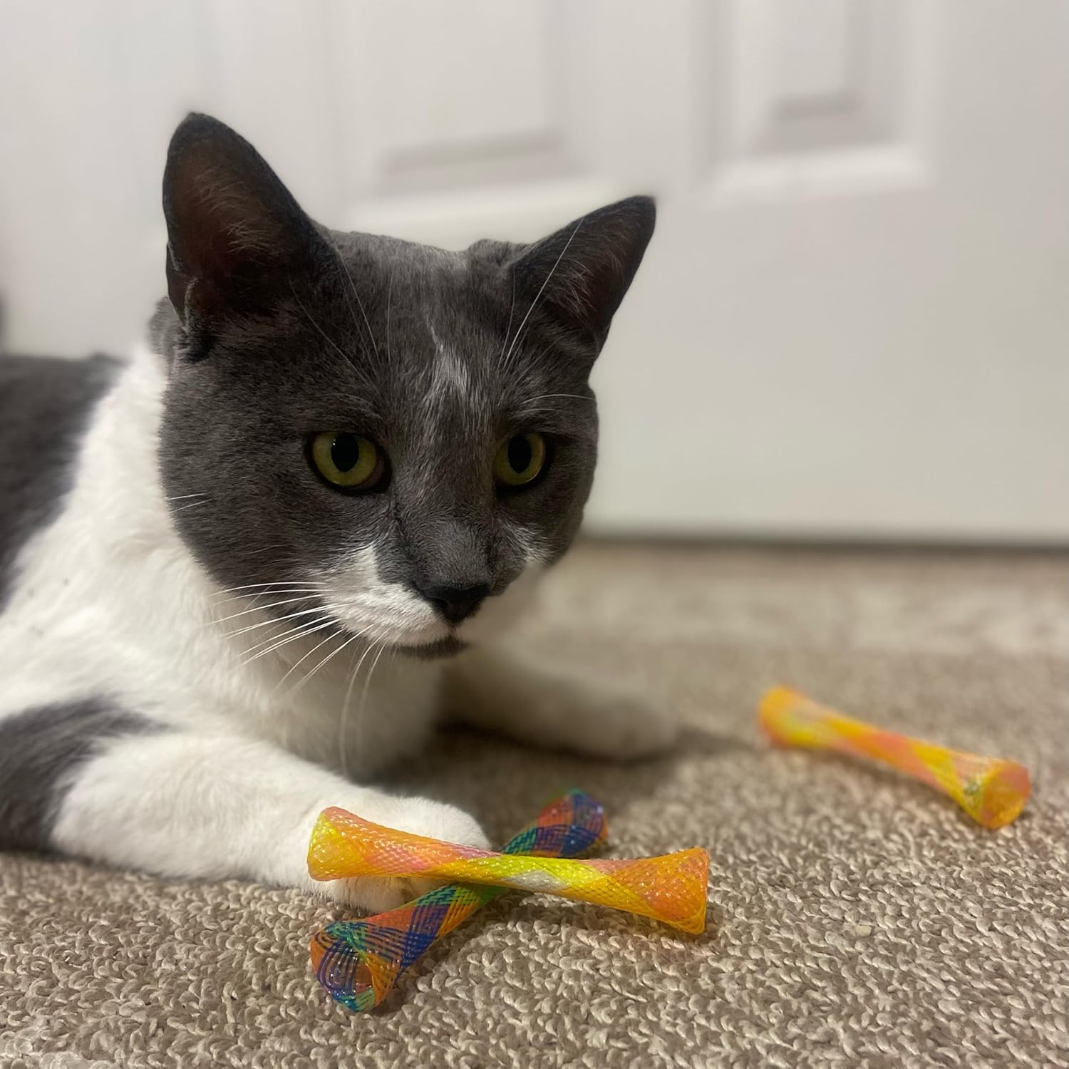 Kitty Fun Tubes Interactive Cat Toy Set | Bouncy Catnip-Infused Toys for Cats and Kittens | Pack of 3
