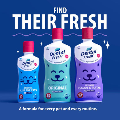 Dental Fresh Advanced Oral Care Water Additive for Dogs & Cats – Effortlessly Support Clean Teeth, Healthy Gums & Fresh Breath – 17 Fl Oz