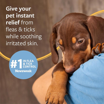 Flea and Tick Shampoo for Dogs and Cats, 16 oz.