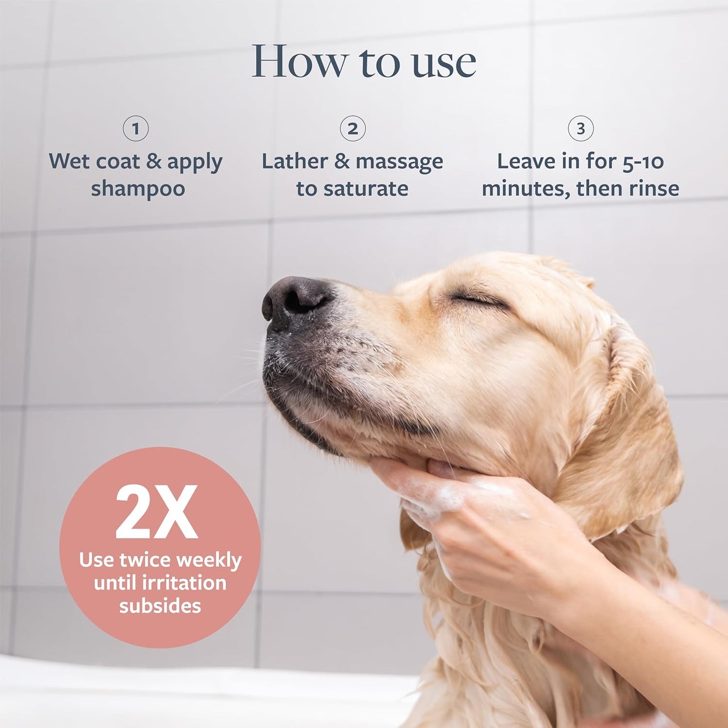 Veterinary Formula Clinical Care Medicated Shampoo for Dogs and Cats - 16 oz, Soothing Relief for Hot Spots and Itchy Sensitive Skin