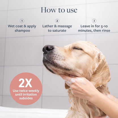Veterinary Formula Clinical Care Medicated Shampoo for Dogs and Cats - 16 oz, Soothing Relief for Hot Spots and Itchy Sensitive Skin