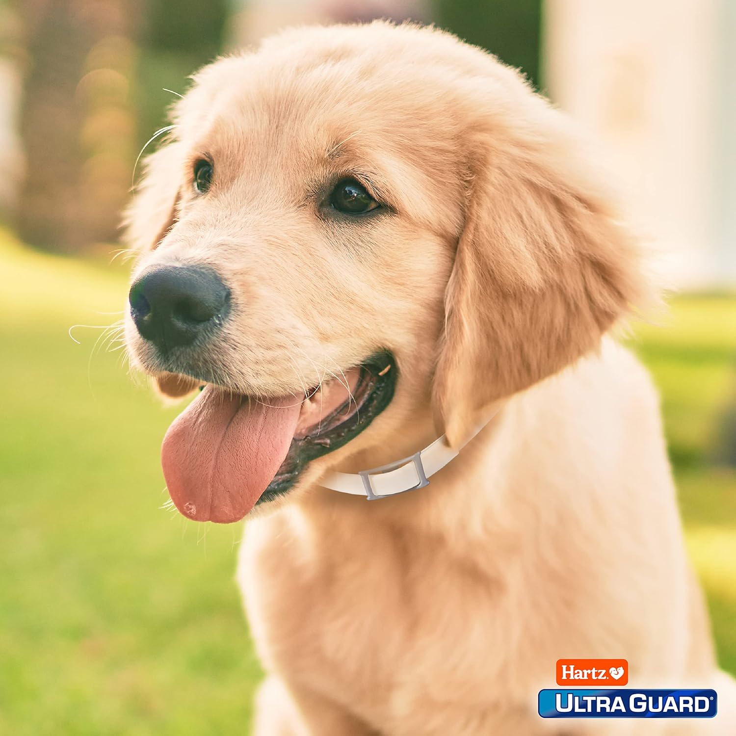 Hartz Ultraguard Flea and Tick Prevention Collar for Dogs and Puppies