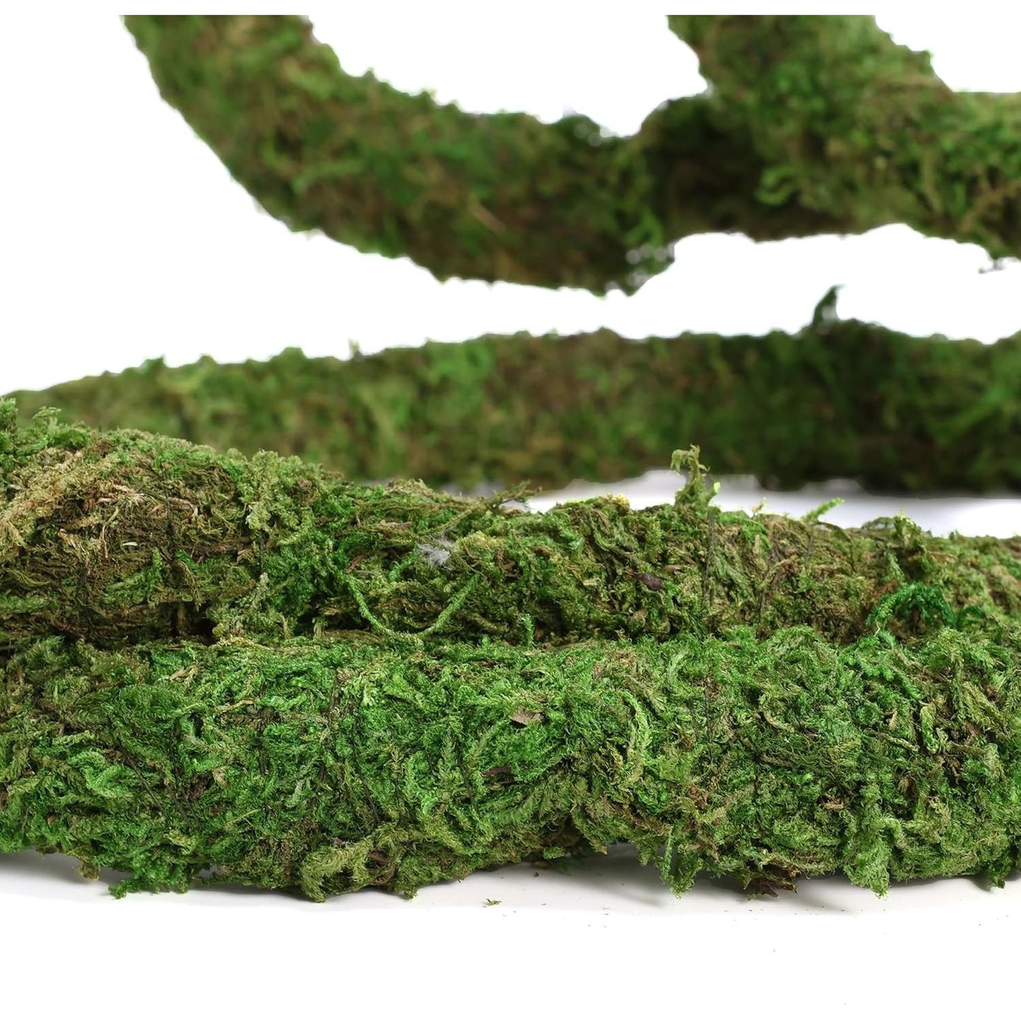 Bendable Moss Vines for Reptiles - 6.5 FT Natural Climbing Rope for Leopard Geckos, Lizards, Snakes, Chameleons, and Frogs
