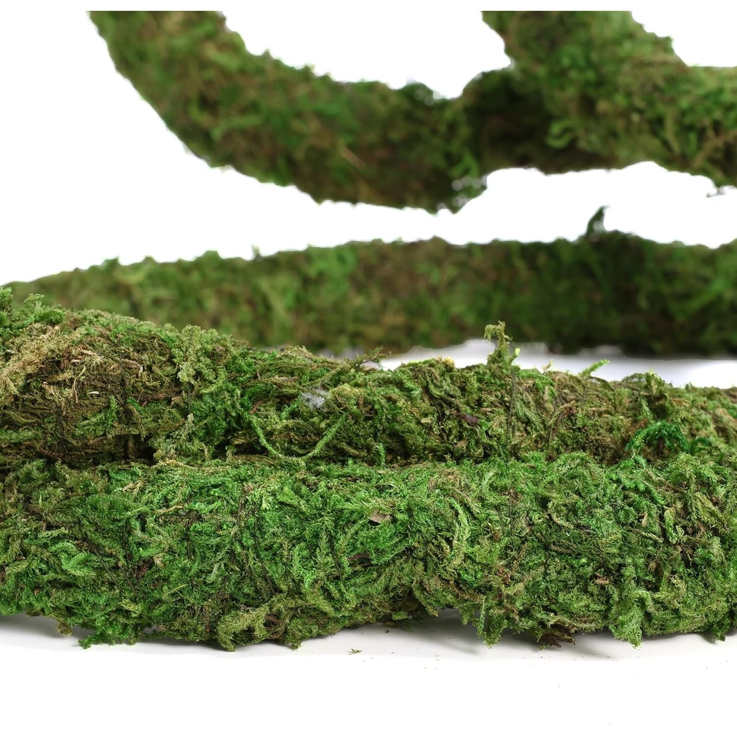 Bendable Moss Vines for Reptiles - 6.5 FT Natural Climbing Rope for Leopard Geckos, Lizards, Snakes, Chameleons, and Frogs