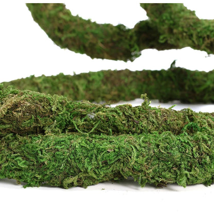 Bendable Moss Vines for Reptiles - 6.5 FT Natural Climbing Rope for Leopard Geckos, Lizards, Snakes, Chameleons, and Frogs