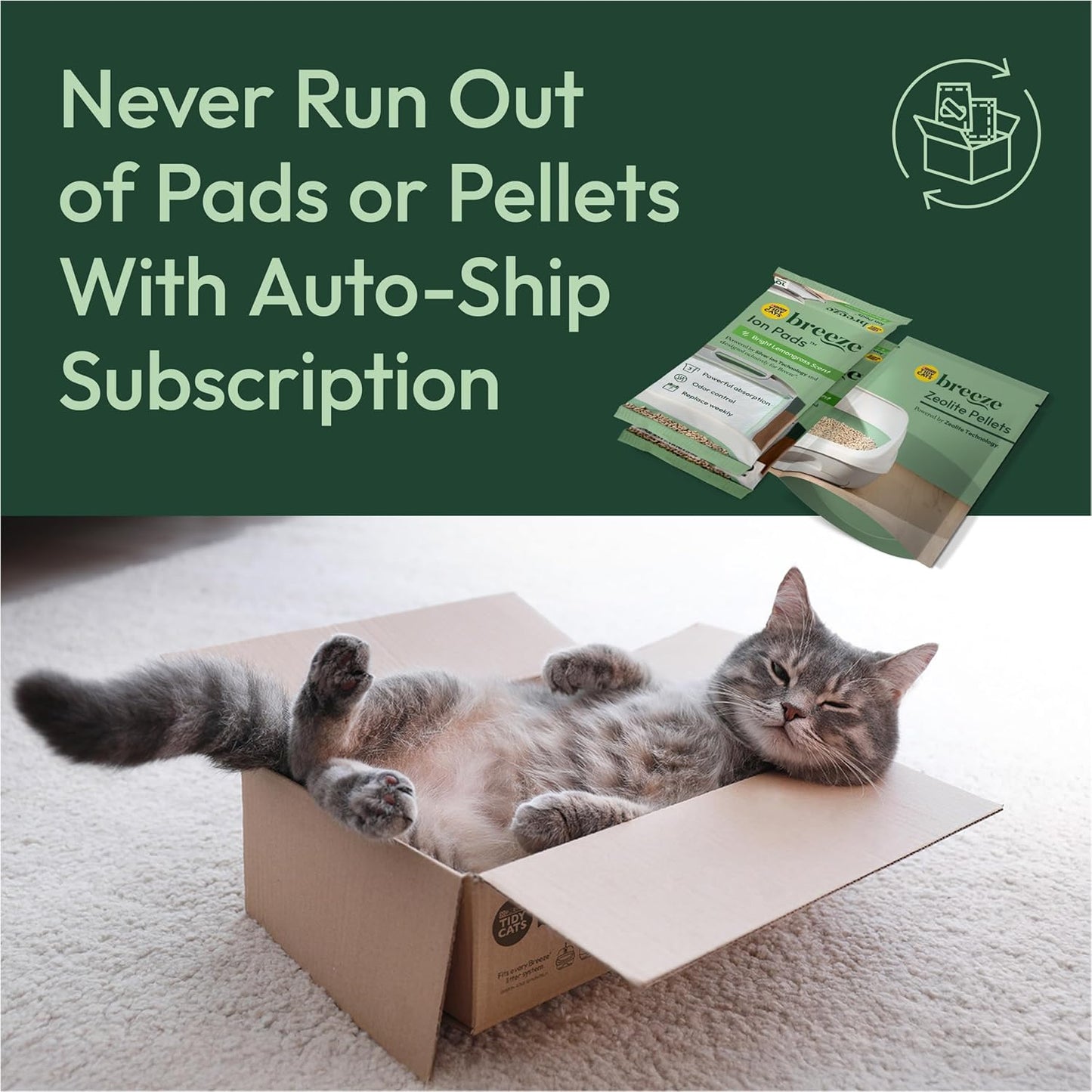 Transform Your Cat's Litter Experience with the Purina Tidy Cats Breeze XL All-In-One Odor Control System - Perfect for Multi-Cat Households!