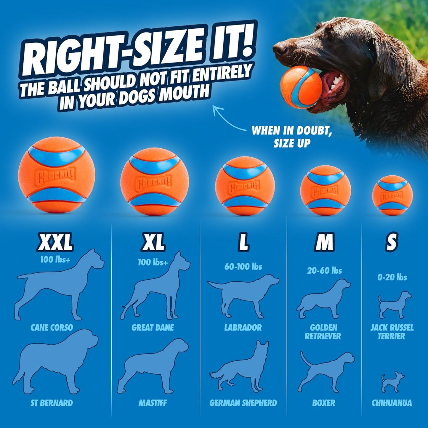  Bouncy Fetch Balls for Dogs 20-60 lbs - Durable Rubber Construction - Floating Water Toy - Pack of 2