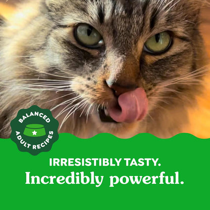 Delicious Greenies Feline Adult Dental Cat Treats - Oven Roasted Chicken Flavor, 9.75 Oz. Tub for Healthy Teeth and Fresh Breath