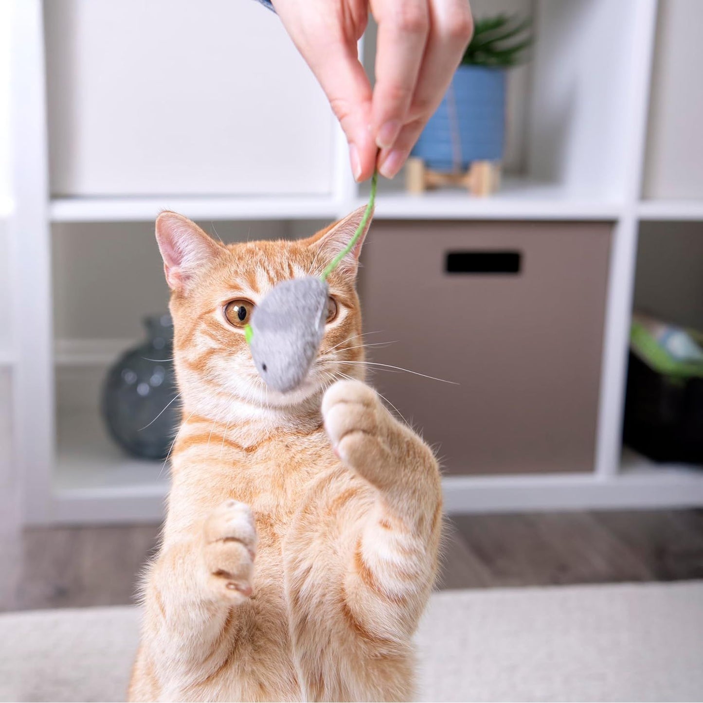 Exciting SmartyKat Skitter Critters Catnip Cat Toy Set - 10 Irresistible Plush Mice for Endless Feline Fun!