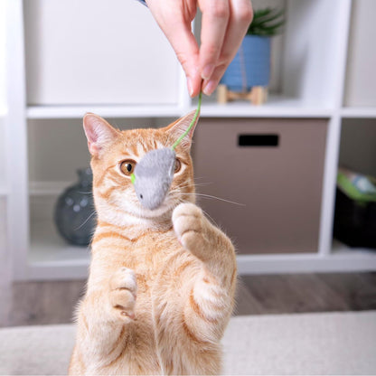 Exciting SmartyKat Skitter Critters Catnip Cat Toy Set - 10 Irresistible Plush Mice for Endless Feline Fun!