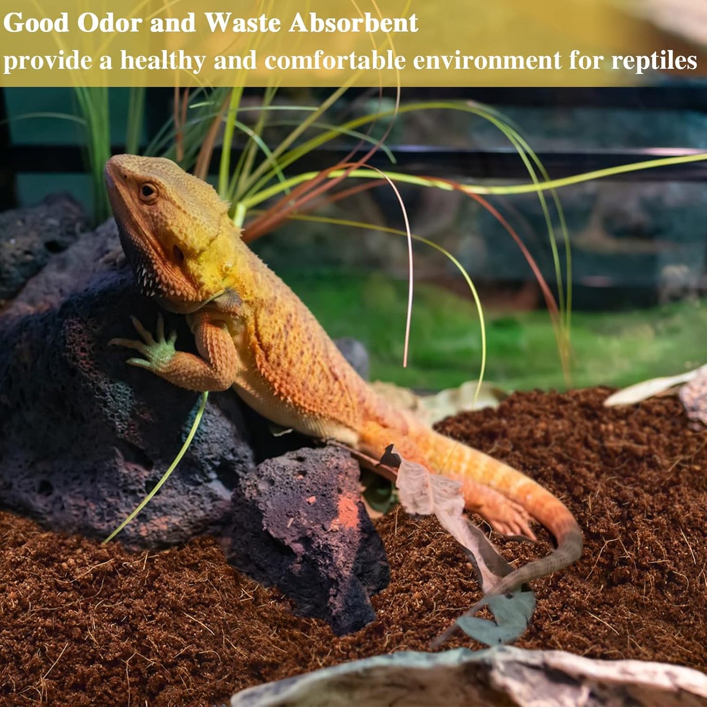  2-Pack Organic Coconut Fiber Substrate for Terrarium Bedding - Ideal for Reptiles, Tortoises, Bearded Dragons, Leopard Geckos, Snakes, Hermit Crabs, Frogs, and Tarantulas