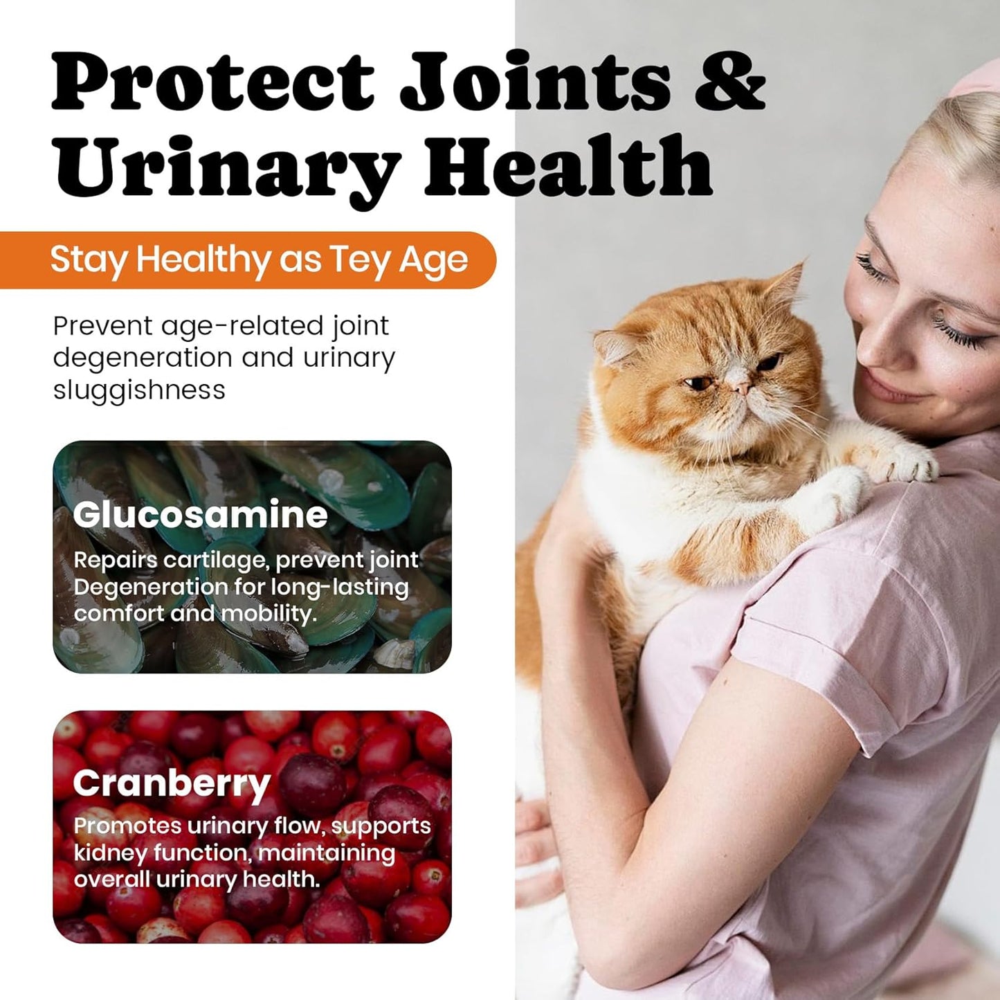 Cat Multivitamin Supplement with L-Lysine and Taurine – 12 Essential Vitamins and 5 Minerals for Immune, Joint, and Skin Support – 450 Chews
