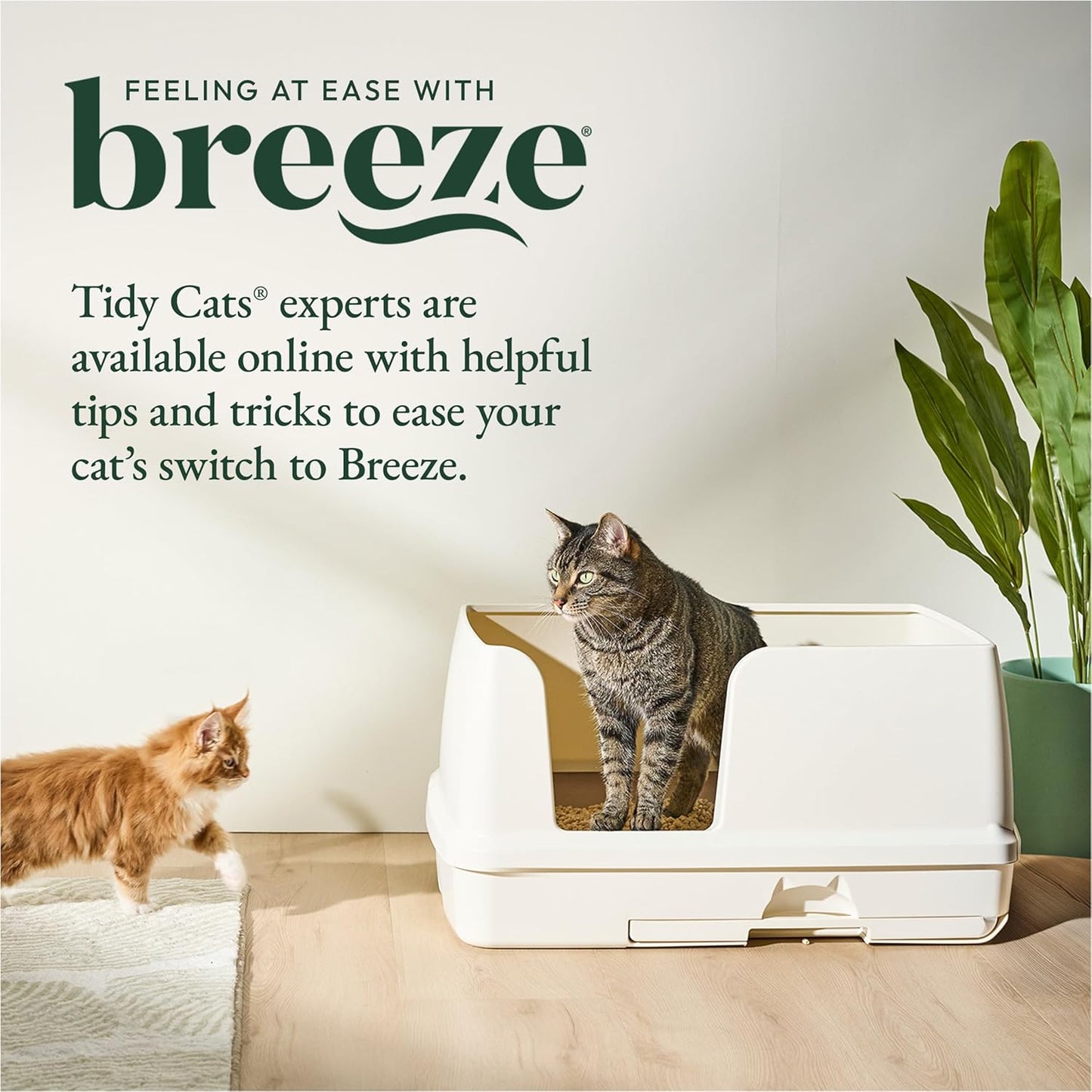 Transform Your Cat's Litter Experience with the Purina Tidy Cats Breeze XL All-In-One Odor Control System - Perfect for Multi-Cat Households!