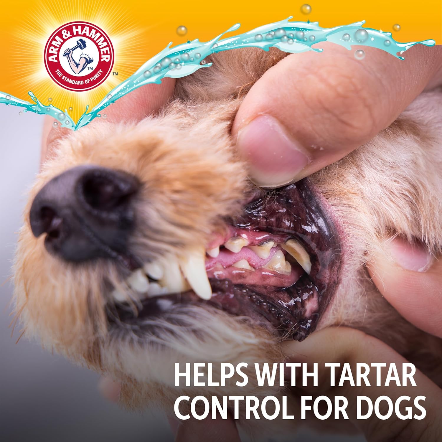 Dental Water Additive for Dogs, 16 Fl Oz, Odorless and Flavorless Breath Freshener with Baking Soda for Tartar Control