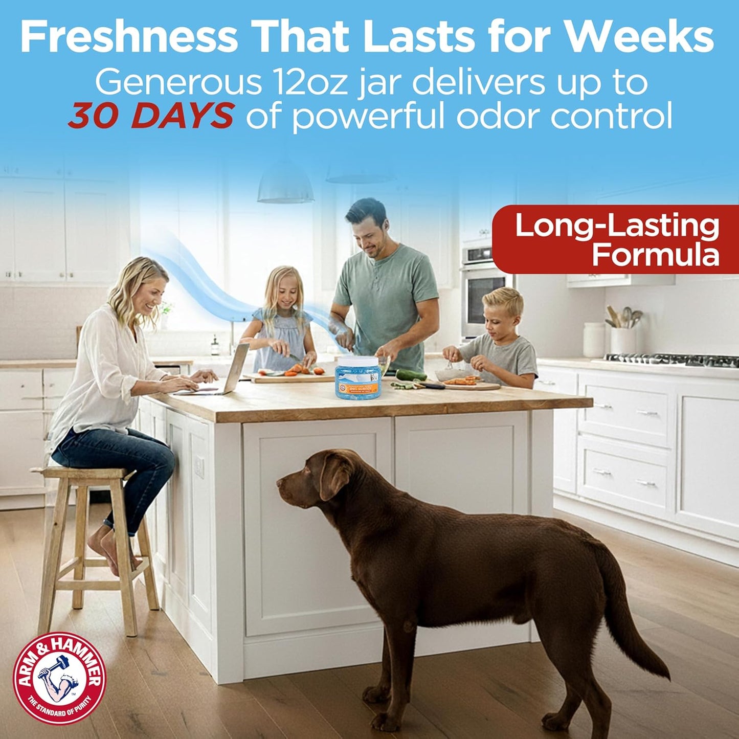  Pet Air Care Deodorizing Gel Beads, Long-Lasting Odor Eliminator for Rooms, Closets, and Small Spaces
