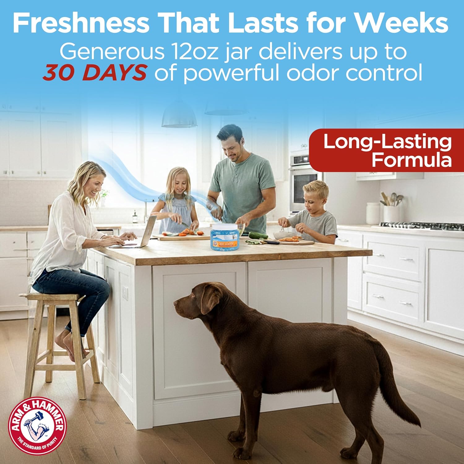  Pet Air Care Deodorizing Gel Beads, Long-Lasting Odor Eliminator for Rooms, Closets, and Small Spaces