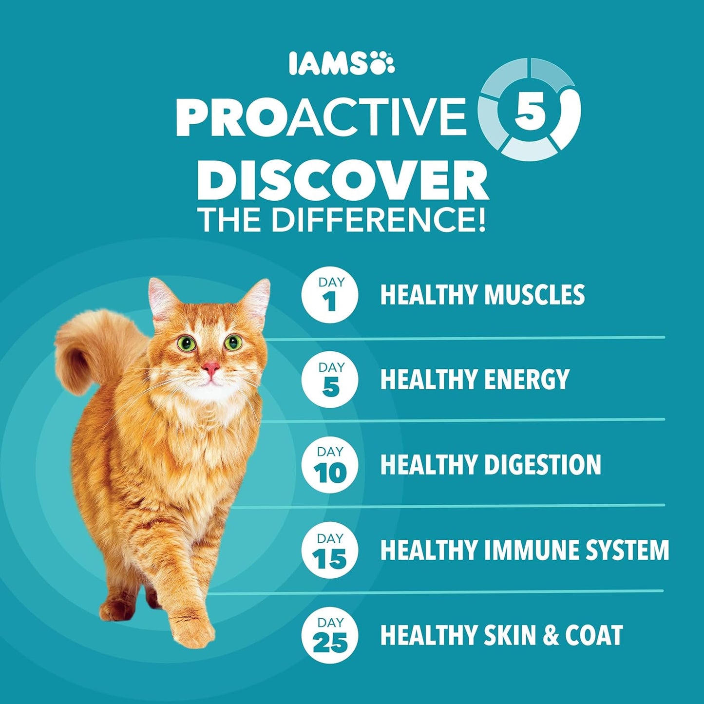 IAMS Proactive Health Indoor Weight Control & Hairball Care Adult Dry Cat Food, Salmon Recipe, 3.5 Lb. Bag