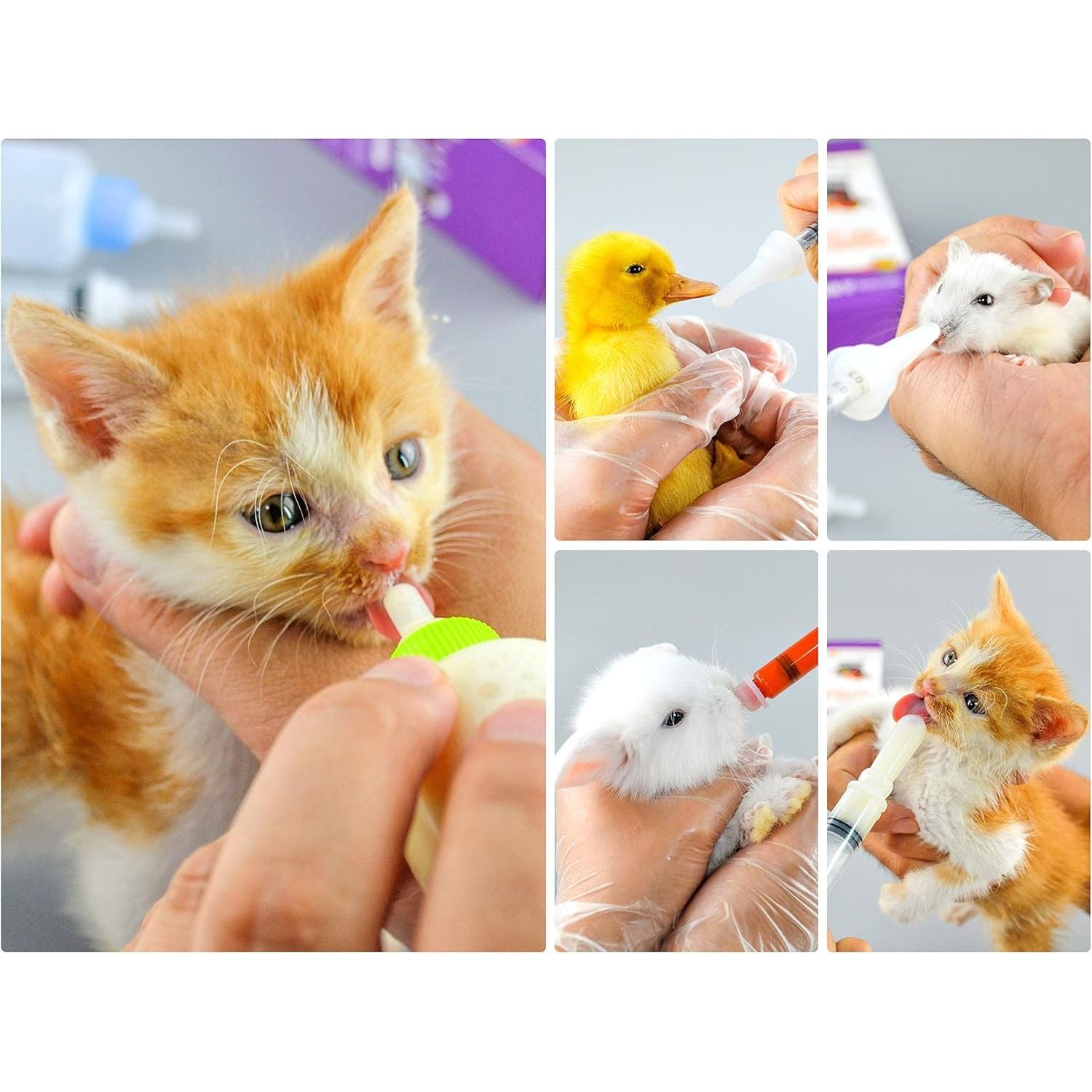 Puppy Kitten Bottle for Nursing, Newborn Baby Dog Cat Rabbit Feeding Bottles with Nipples Feeder Kit