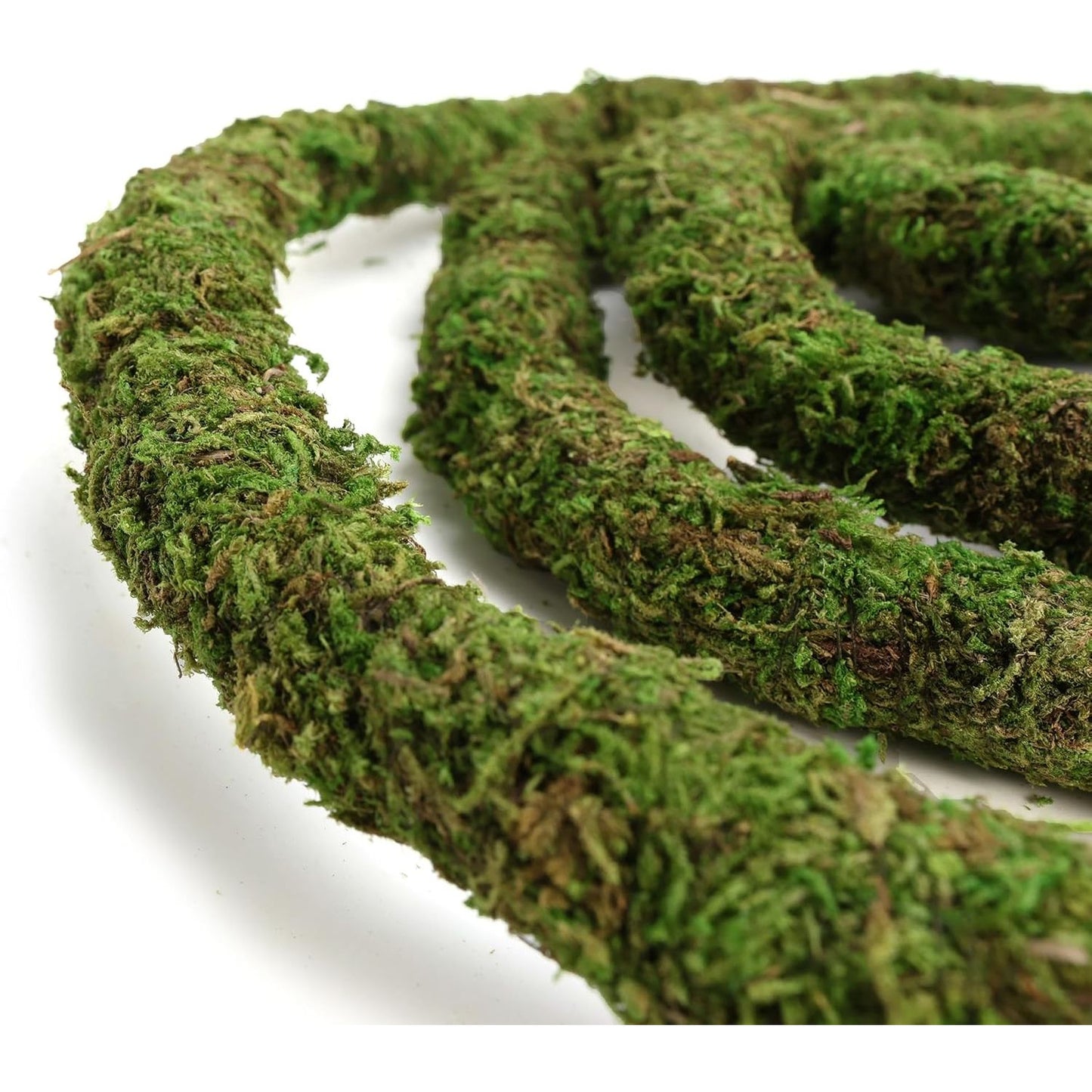 Bendable Moss Vines for Reptiles - 6.5 FT Natural Climbing Rope for Leopard Geckos, Lizards, Snakes, Chameleons, and Frogs