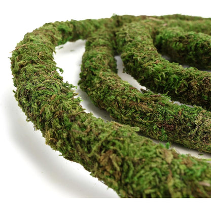 Bendable Moss Vines for Reptiles - 6.5 FT Natural Climbing Rope for Leopard Geckos, Lizards, Snakes, Chameleons, and Frogs