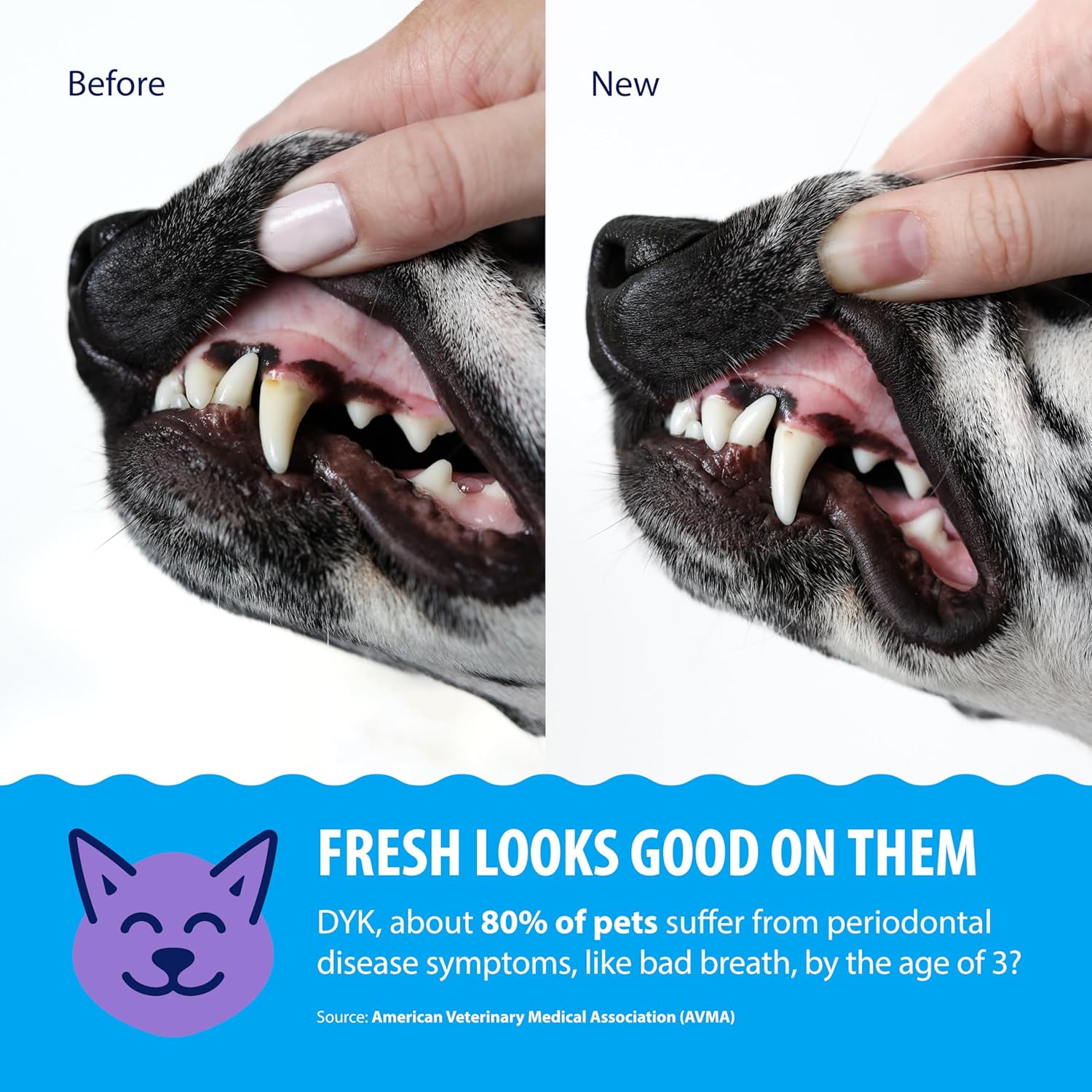 Dental Fresh Advanced Oral Care Water Additive for Dogs & Cats – Effortlessly Support Clean Teeth, Healthy Gums & Fresh Breath – 17 Fl Oz