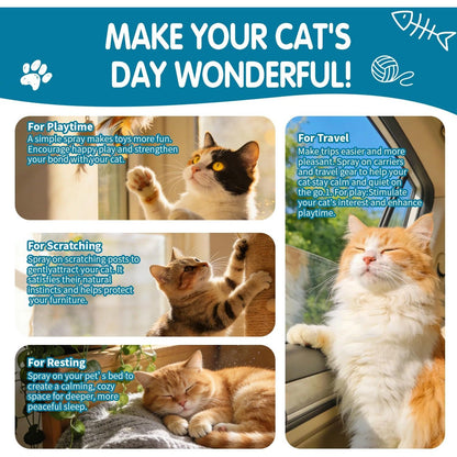 Premium Catnip Spray for Cats – 100% Natural Ingredients, Boosts Energy,Relieves Stress – Renews Toys, Reduces Scratching, Easy-To-Use & Mess-Free 2.71 Fl OZ (Blue-Green, M)